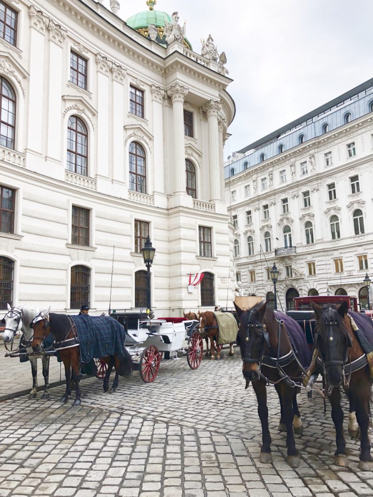 10 things to do in Vienna - Life With Bugo