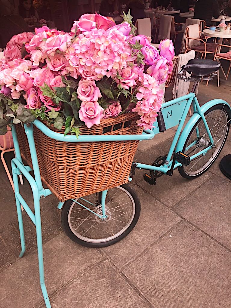 Elan Café pastel bicycle