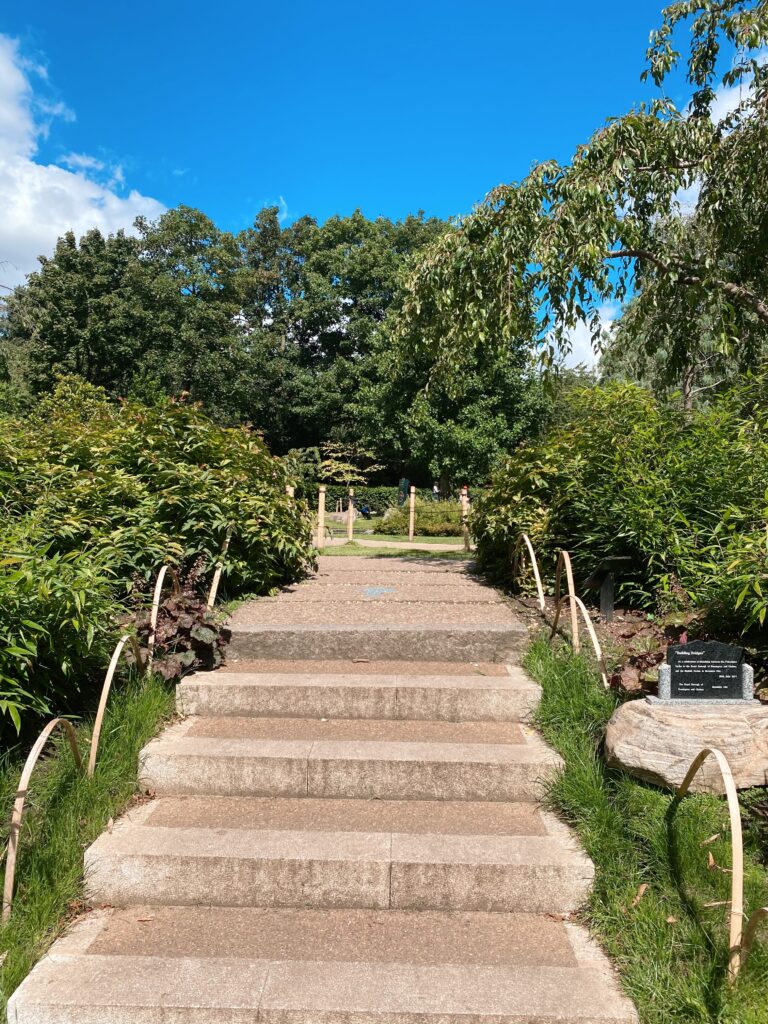 steps in kyoyo gardens - lifewithbugo