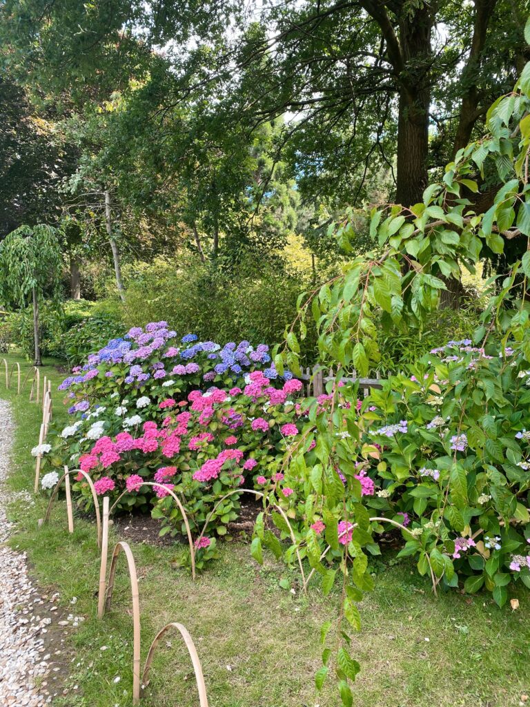 flower bed - Kyoto Gardens - lifewithbugo