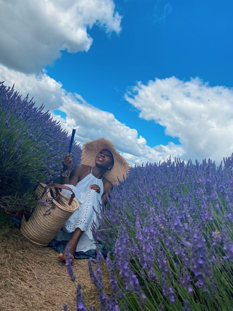in the farm at Mayfield Lavender