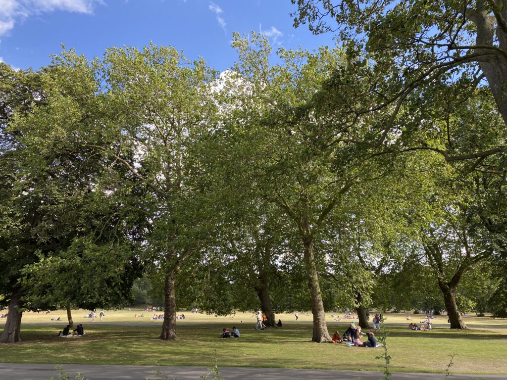 Greenwich Park - 20 best areas in london to visit - lifewithbugo