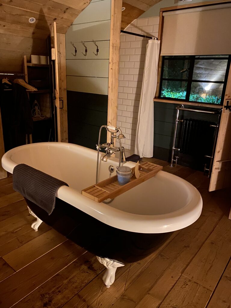 The Bath in the Pigsty, WInchester - LifeWithBugo