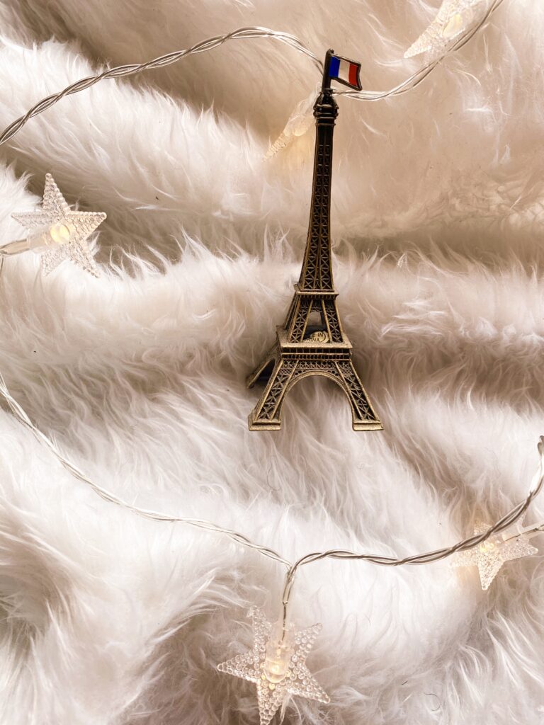 Paris Eiffel Tower - LifewithBugo