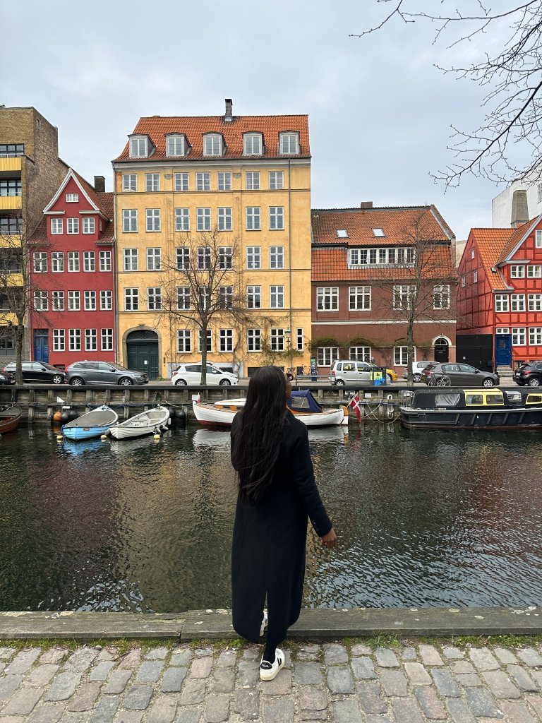 Your Complete Guide To Visiting Copenhagen, Denmark - Hand Luggage