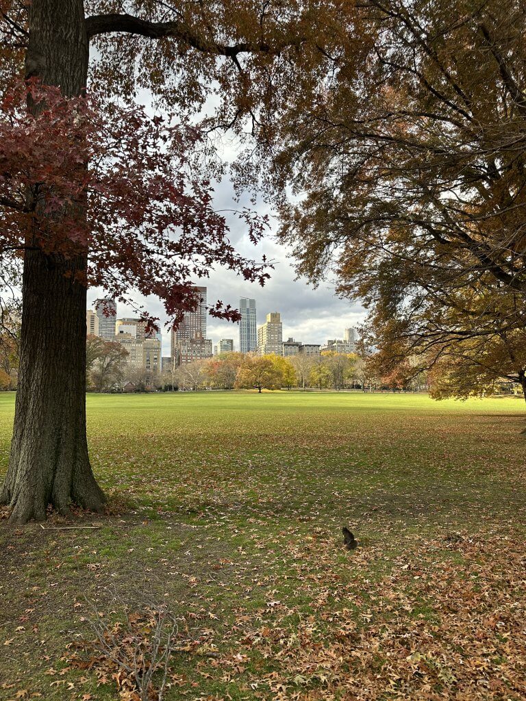 Central Park, New York - lifewithbugo.com