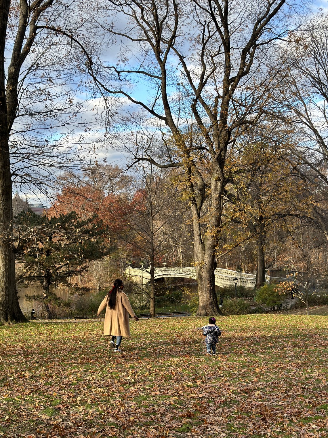 Central Park, New York with a toddler - lifewithbugo.com