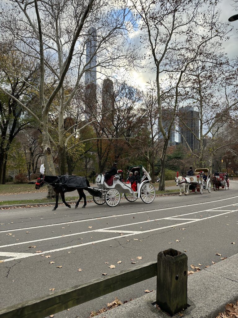 how to explore Central Park New York with a toddler 2 - lifewithbugo.com