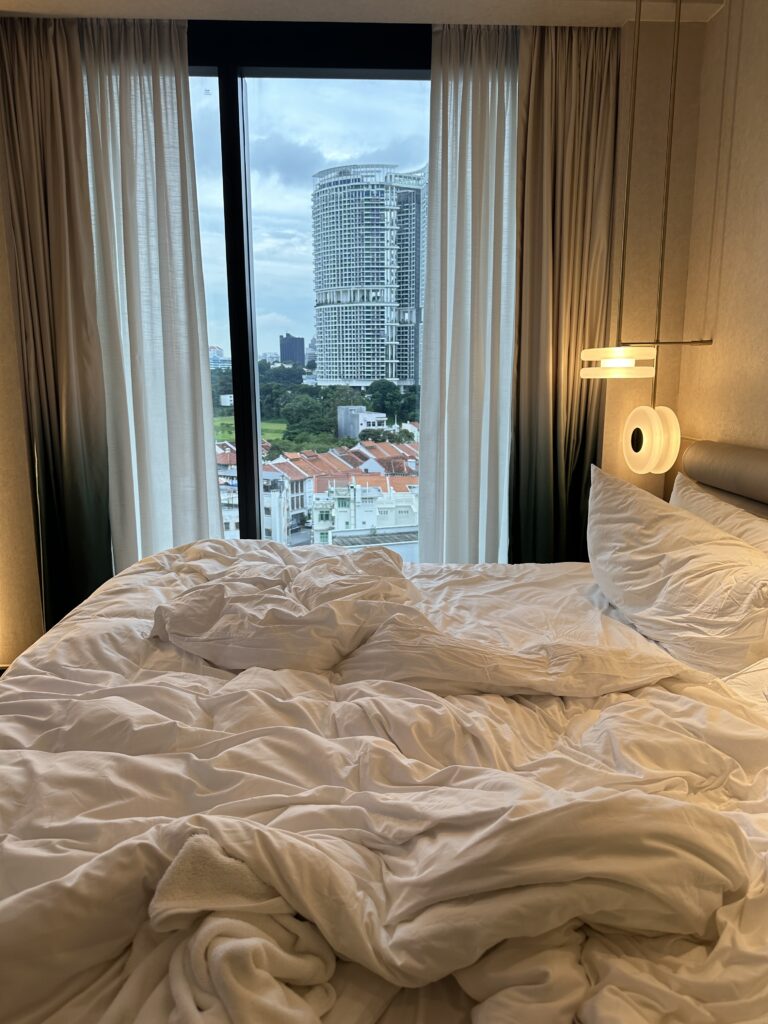 Hotel Review of Mondrian Singapore Duxton - the window view