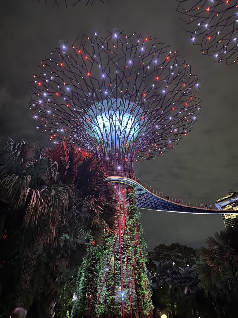 48 hours in Singapore: Gardens by the bay 1