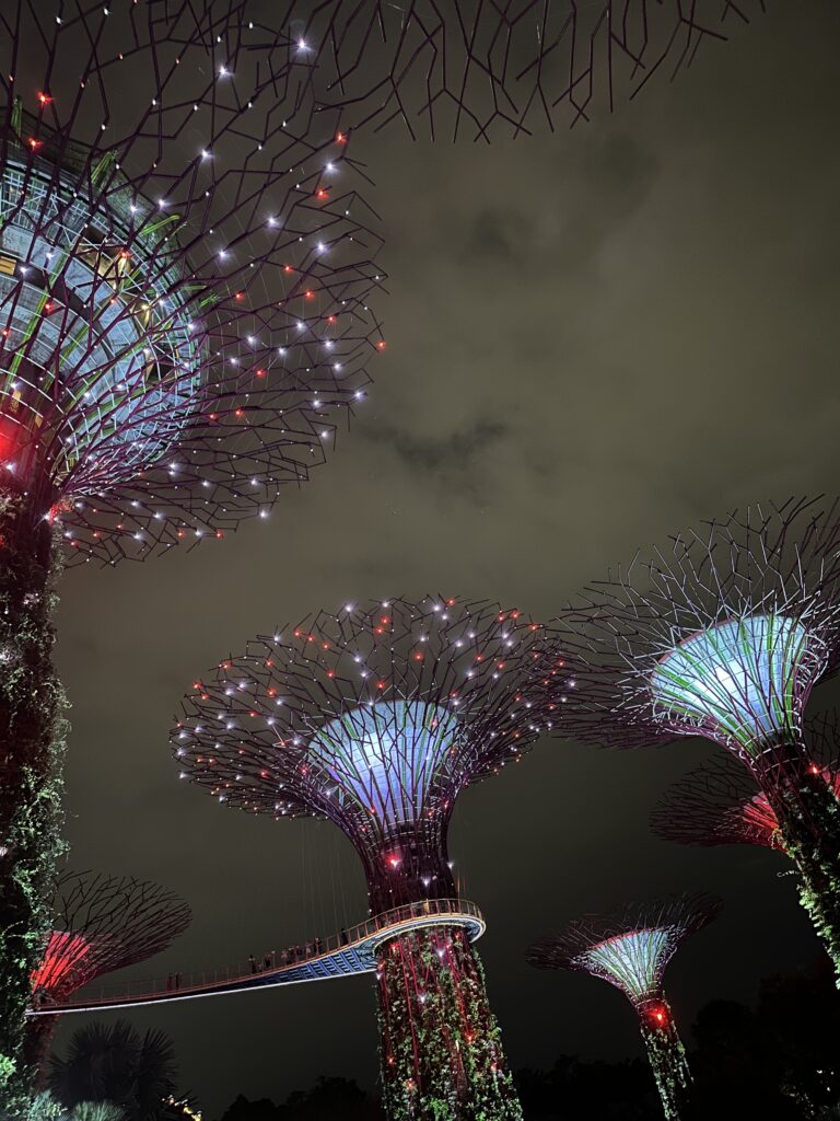 48 hours in Singapore: Gardens by the bay 2