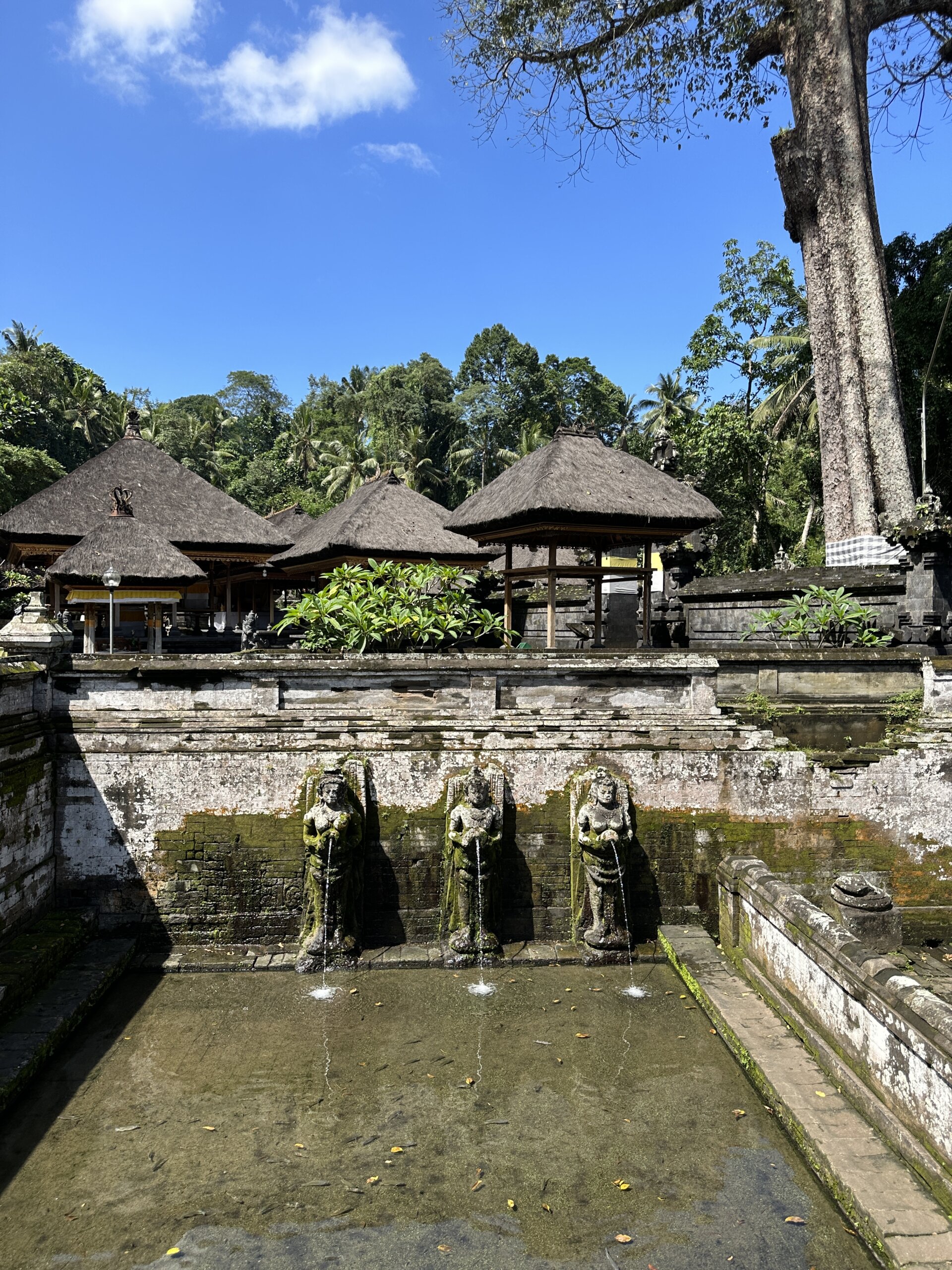 The best things to do in Ubud Bali - LIFEWITHBUGO