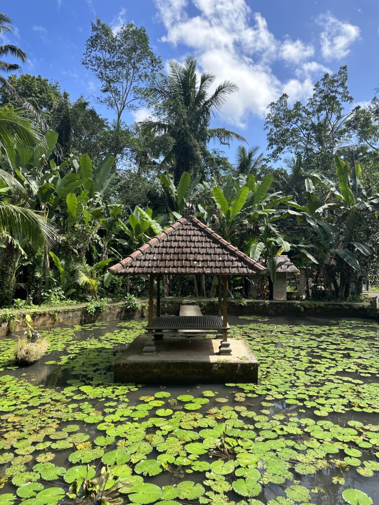 The best things to do in Ubud Bali 5