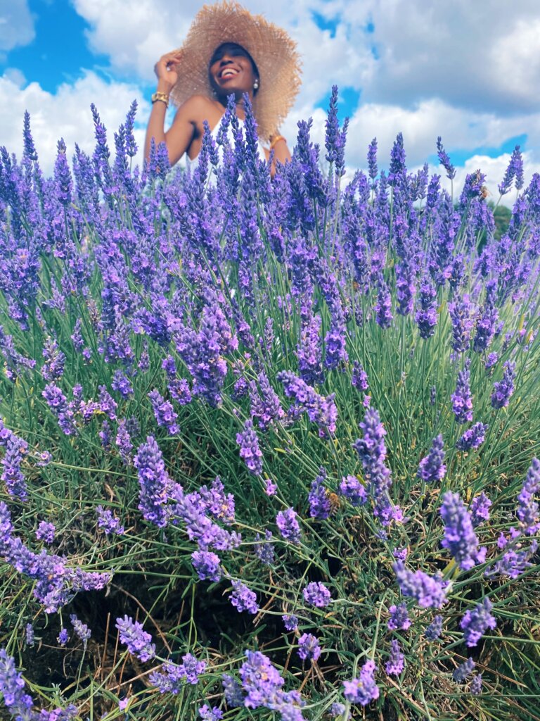 The best things to do for summer in London - visit a Lavender farm 1