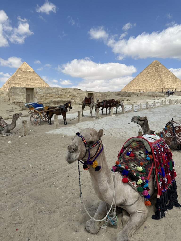The best things to do in Egypt with kids 1 - Pyramids of Giza - lifewithbugo.com