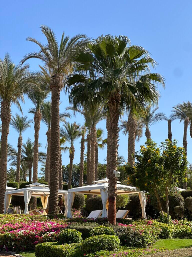 Our Stay at Four Seasons Sharm el Sheikh - lifewithbugo.com