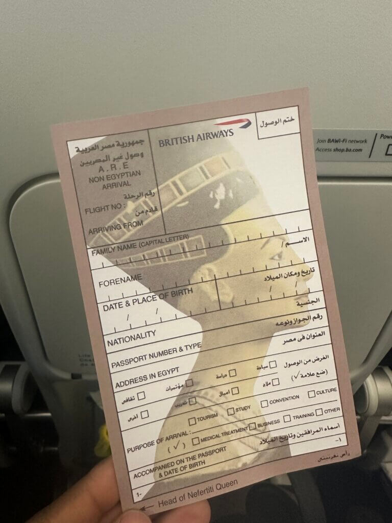 Landing Card into Egypt