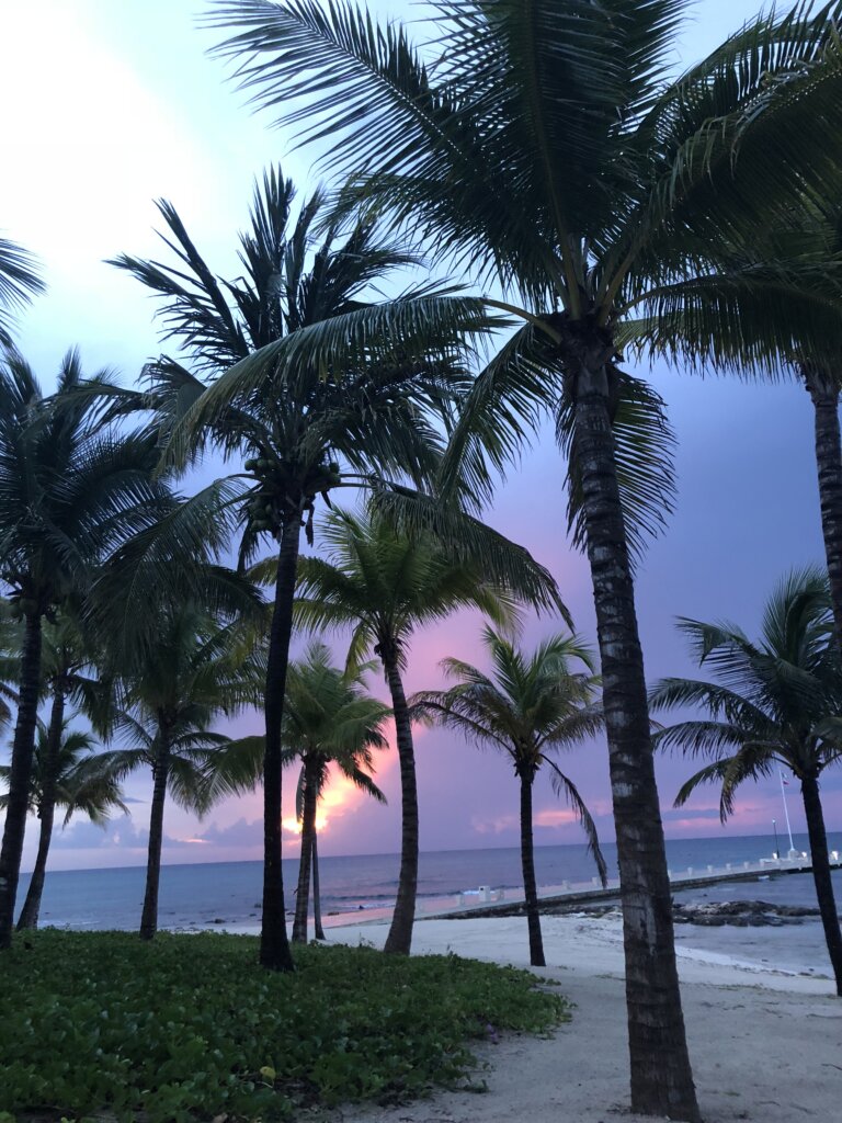 The best Winter Sun destinations - lifewithbugo.com