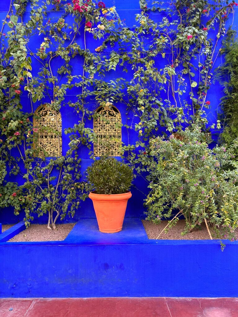The most beautiful places in Marrakech 3 - Jardin Majorelle